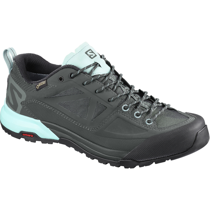 Botas De Montaña Salomon Hombre Azules Claro / Negras - Salomon Argentina X ALP SPRY GTX® W ,849715-